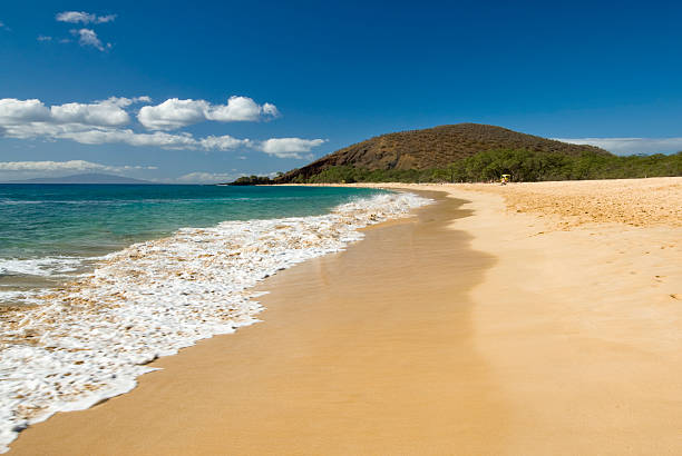 istock Makena (Big) Beach, Maui, Hawaii 470784277