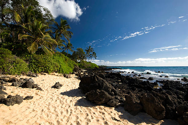 istock Tropical beach with palm trees, golden sand and volcanic rock 470785169