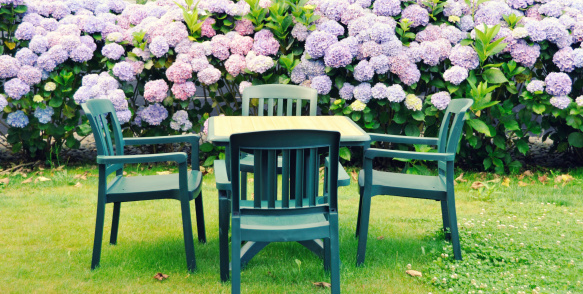 Plastic chairs and table in front of a flower bed with blooming hydrangeas in the lawn. 