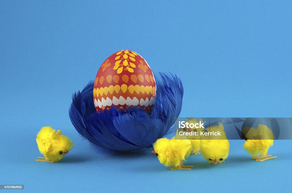 Easteregg in blue feather nest with chick easteregg in a blue nest of bird feathers - the pattern of the egg are typical of Sorben/ Lausitz - Germany Animal Stock Photo