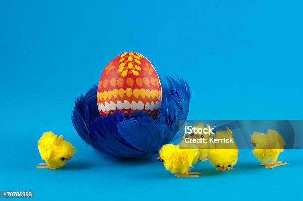 Easteregg In Blue Feather Nest With Chick Stock Photo - Download Image Now - Animal, Animal Egg, Animal Nest