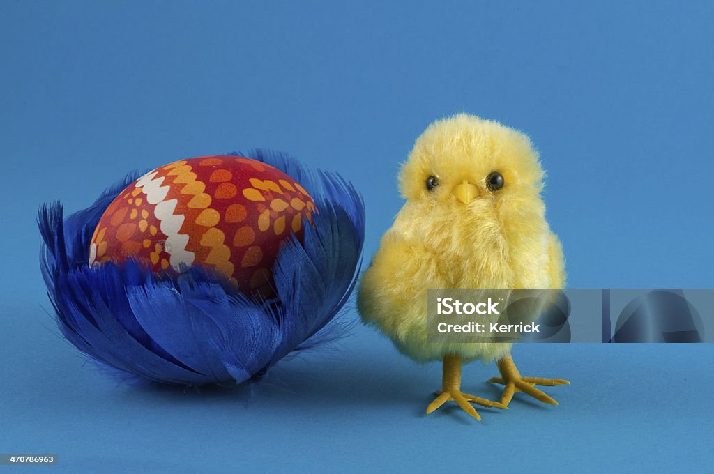 Easteregg in blue Federn nest mit Kükenmotiv - Lizenzfrei Blau Stock-Foto