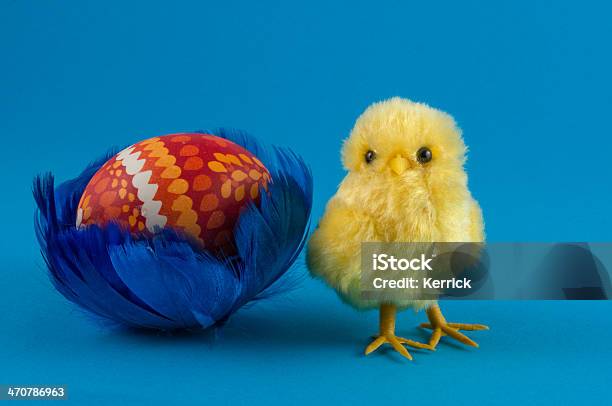 Easteregg In Blue Federn Nest Mit Kükenmotiv Stockfoto und mehr Bilder von Blau - Blau, Bunt - Farbton, Dekoration