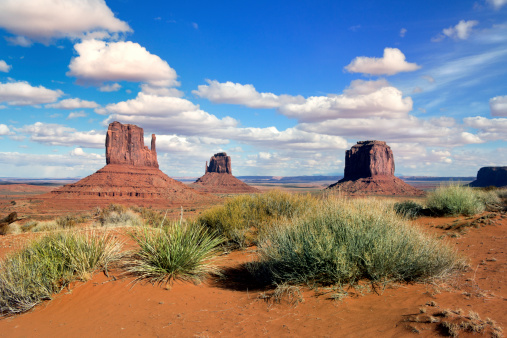 The Tower of Babel rock formation  during a Spring Primrose bloom in Arches National Park near Moab Utah.