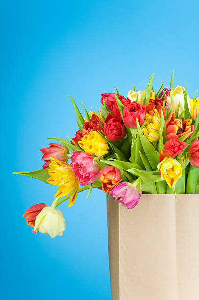 istock Tulips in the paper bag 470788250