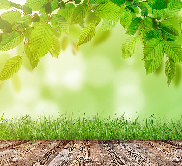 istock Wooden table with green grass 470789076