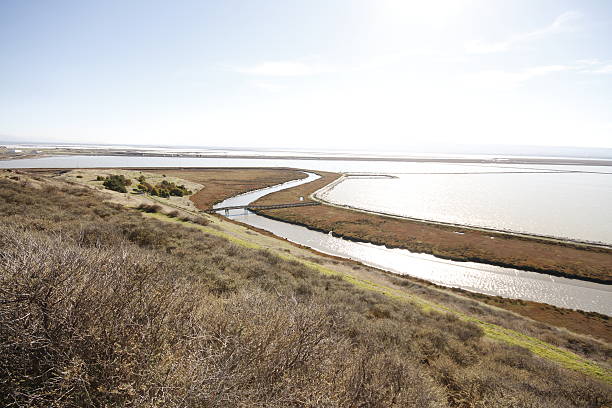 istock Don Edwards National Wildlife refuge 470790022