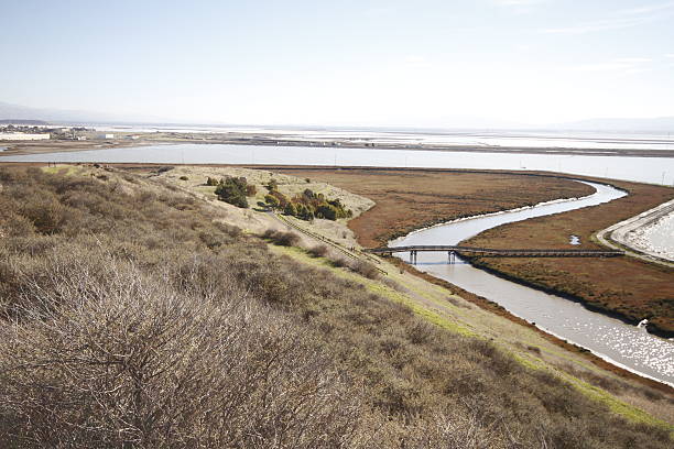 istock Don Edwards National Wildlife refuge 470790028