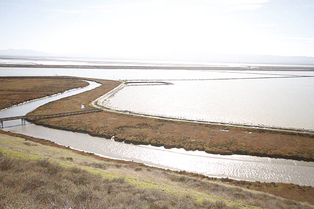 istock Don Edwards National Wildlife refuge 470790032