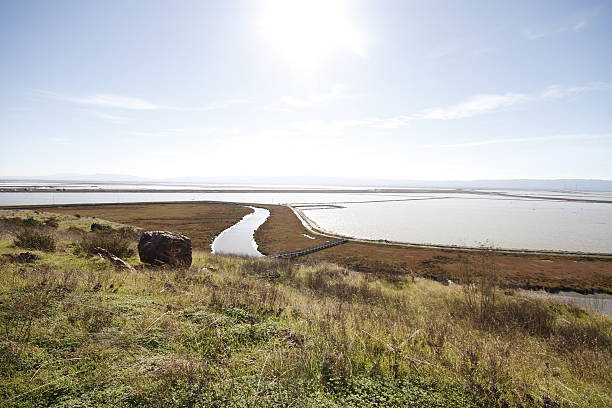 istock Don Edwards National Wildlife refuge 470790058