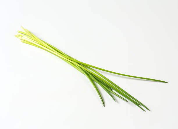 istock A picture of fresh green chives 470792449