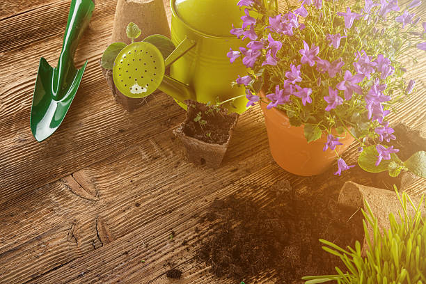 istock Outdoor gardening tools and plants. 470792780