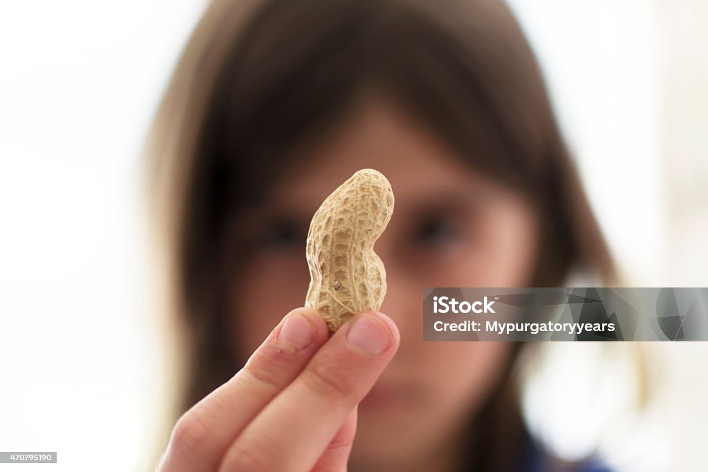 A young girl holding up a nut and looking sad A young child holds up a peanut and looks at it closely. Peanut - Food Stock Photo