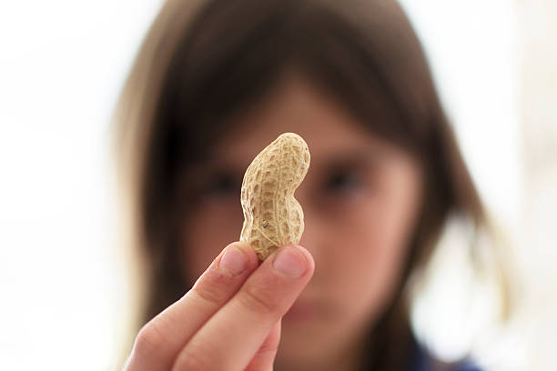 A young girl holding up a nut and looking sad A young child holds up a peanut and looks at it closely. allergy stock pictures, royalty-free photos & images