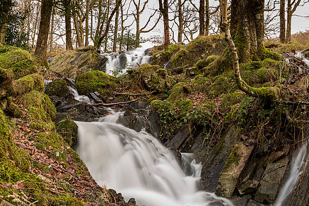 istock Waterfall In Tom Gill, Tarn Hows 470795315