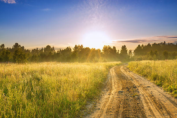 istock summer rural landscape with sunrise  and the road 470796768
