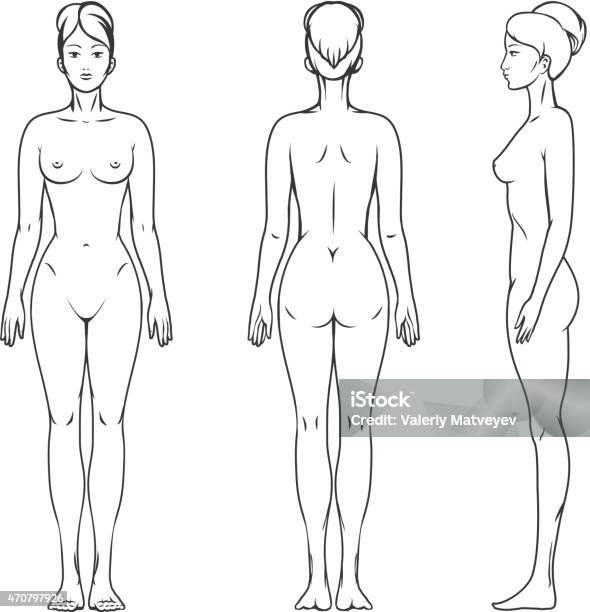 Male Body Vector Illustration Stock Illustration - Download Image Now - The  Human Body, Anatomy, Male Likeness - iStock