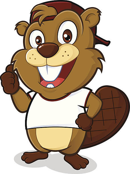 Beaver usa un sombrero y una camisa blanca t - ilustración de arte vectorial