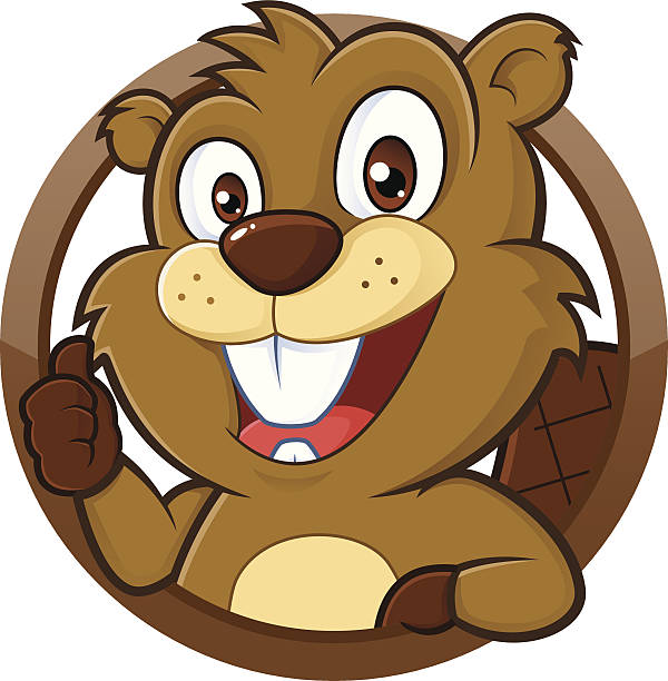Beaver Giving Thumb Up Stock Illustration - Download Image Now - Beaver,  Cartoon, Illustration - iStock