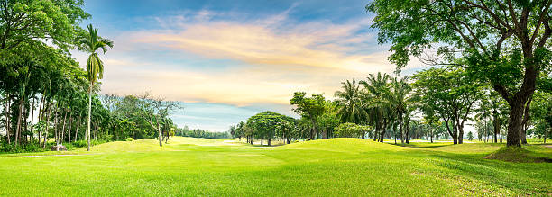 트리를 골프 코스 - golf panoramic golf course putting green 뉴스 사진 이미지