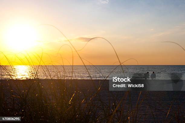 Paar Sonnenuntergang Am Strand Stockfoto und mehr Bilder von Möwe - Möwe, Schattig, Abenddämmerung