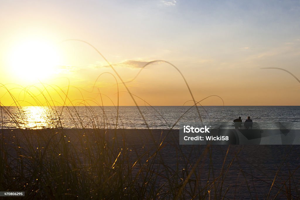 Pareja viendo la puesta de sol en la playa - Foto de stock de Gaviota libre de derechos
