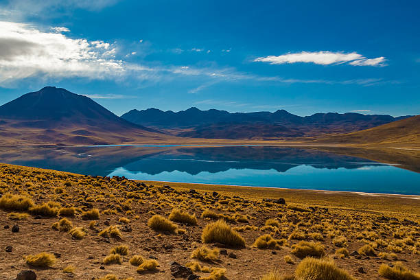 istock Altiplanicas Lagoon in Atacama, Chile 470813020