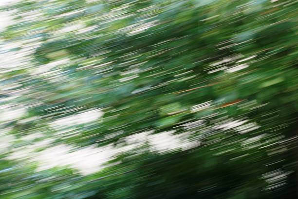 istock Abstract Background of blur wind and trees 470818328