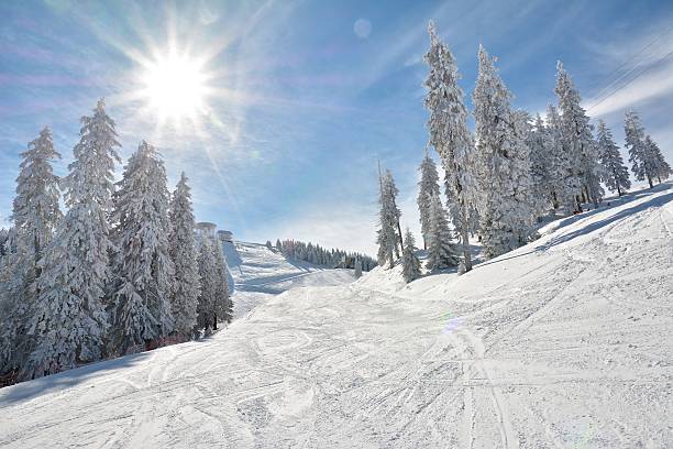 pista de esqui e neve coberta de árvores - bernese oberland gstaad winter snow imagens e fotografias de stock