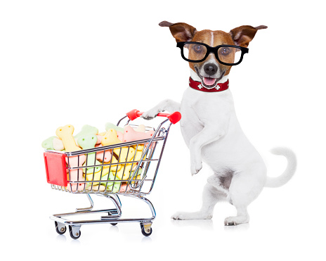 jack russell dog  pushing a shopping cart full of tasty treats  and cookies , isolated on white background