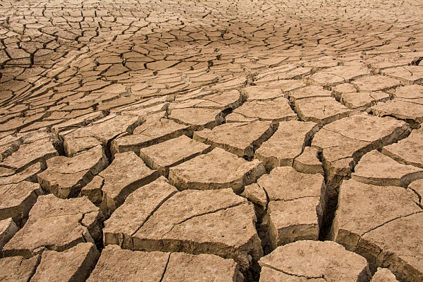 istock texture of dry and cracked earth background 470822579