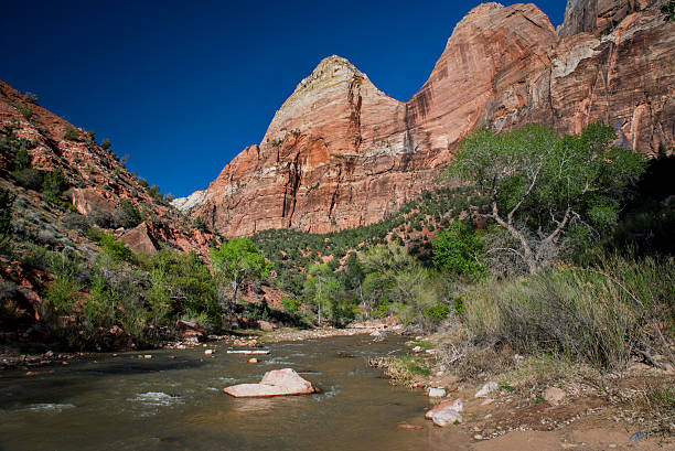 The Virgin River in Zion National Park stock photo