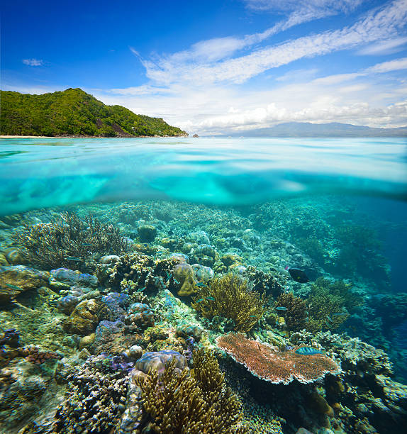 arrecife de coral en el fondo de cielo nublado y a la isla - apo island fotografías e imágenes de stock