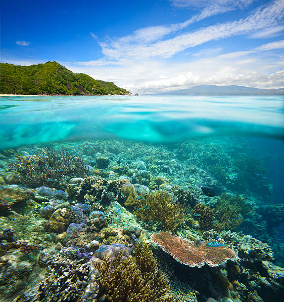 背景にサンゴ礁のクラウディスカイと島 - apo island ストックフォトと画像