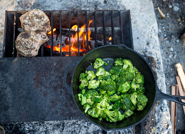 Dinner Cooking on a Fire stock photo