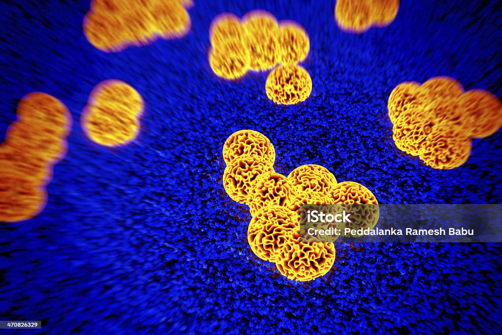 Ou superbug Staphylococcus aureus resistente à meticilina bactérias - Foto de stock de Ampliação royalty-free