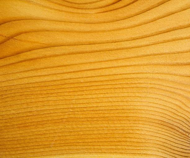 istock Brown larch wood background 470830290