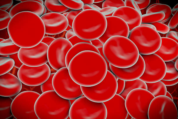 istock Red blood cells illustration 470832491