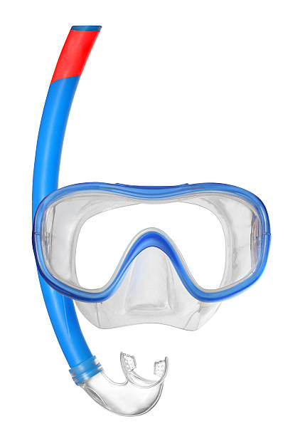 A picture of a blue Mask used for diving Dive Mask on a white background with space for your text. snorkel photos stock pictures, royalty-free photos & images