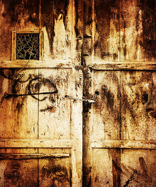 Scratch damage to an old internal door caused by a large dog. There's damage to the paintwork and scratch marks on wood. Several layers of old paintwork are showing through