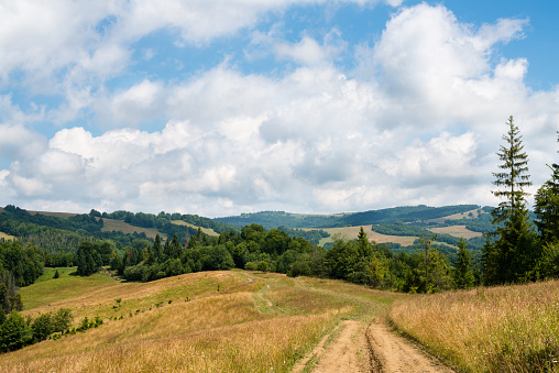 Dirt road against the summer landscape in the Ukrainian Carpathian Mountains