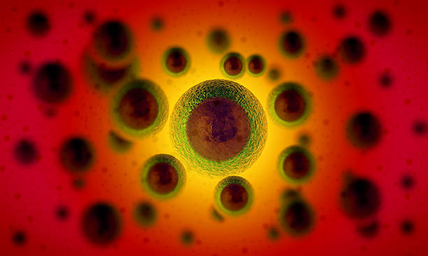 istock illustration of human cells 470836487