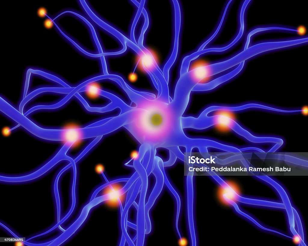 Células nerviosas o neuronas - Foto de stock de Anatomía libre de derechos