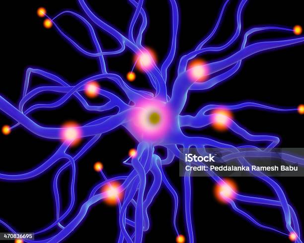 Células Nerviosas O Neuronas Foto de stock y más banco de imágenes de Anatomía - Anatomía, Ansiedad, Asistencia sanitaria y medicina