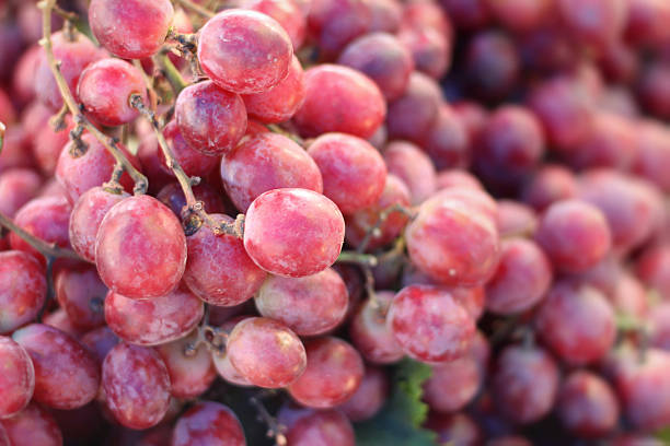 istock Fresh grapes at the market 470836798