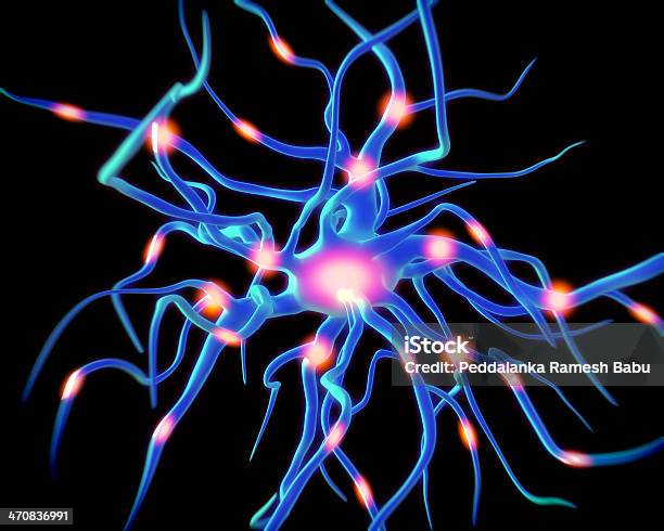 Nerve Cell Or Neurons Stock Photo - Download Image Now - Anatomy, Animal Body Part, Animal Head