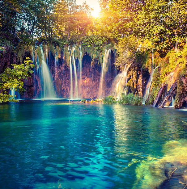 красочные летнее утро в национальный парк плитвицкие озёра. - plitvice lakes national park water lake national park стоковые фото и изображения