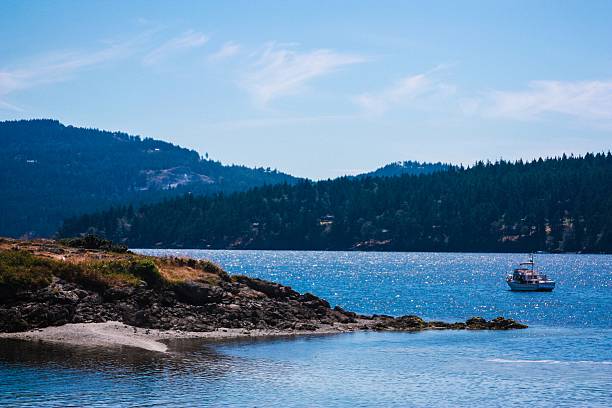 istock The Island and the Boat 470839845