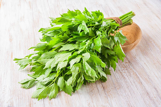 lovage folhas em uma mesa de madeira - levisticum officinale - fotografias e filmes do acervo