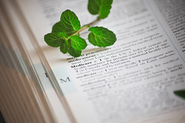 istock Mint leaves as Herbal medicine 470844549